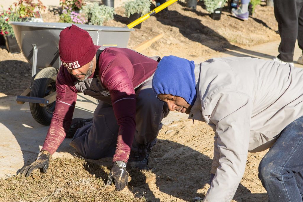 pastor gardening pccdc